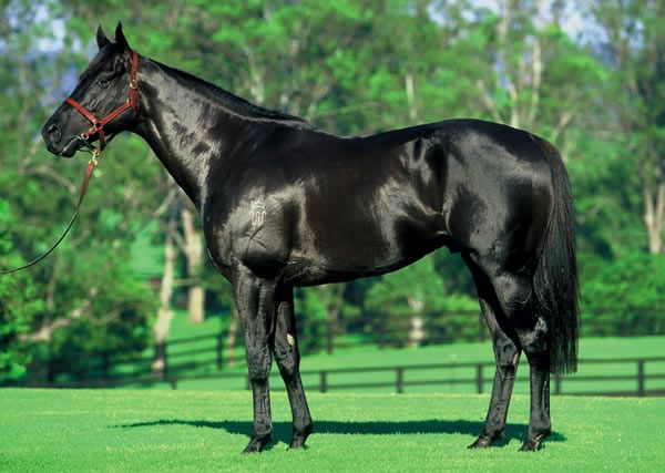 lonhro_confo1.jpg