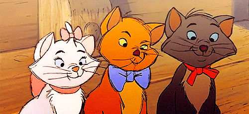 tumblr_lstitqmZ3C1r0u624o1_500.gif
