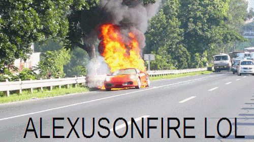 tumblr_ll8j1agKky1qequb0o1_500.gif