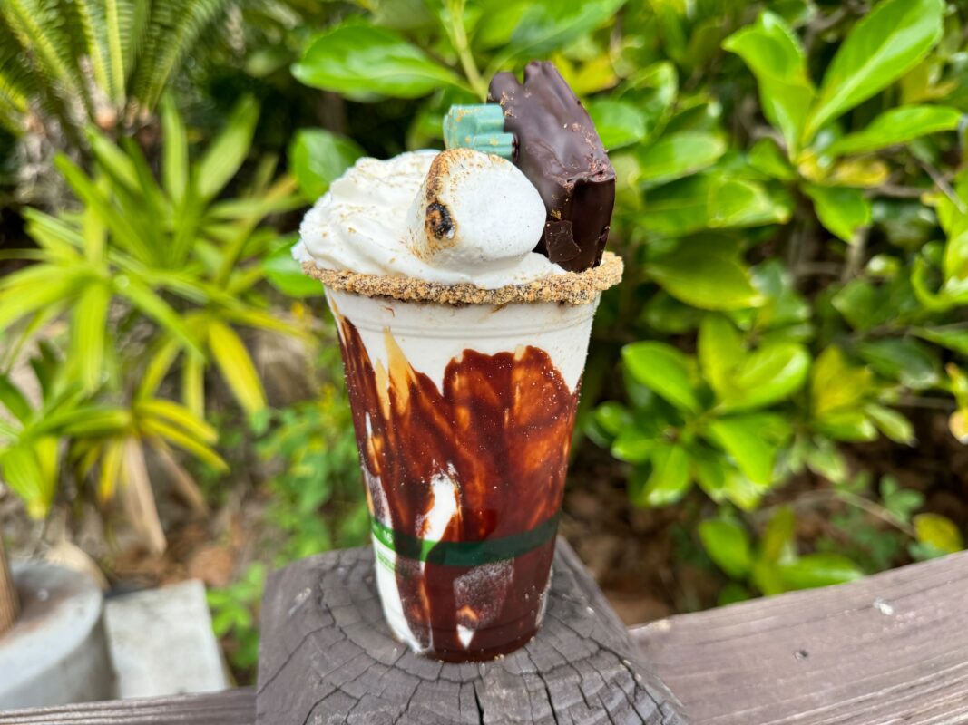 Side of s'mores milkshake