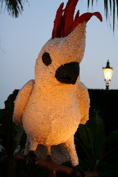 530885135_CJkYS-L.jpg