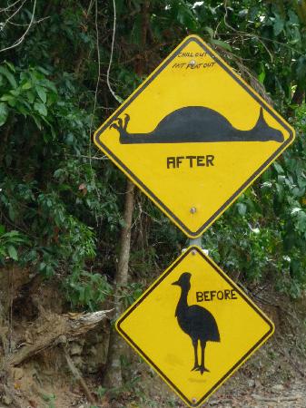funny-sign-on-the-road.jpg