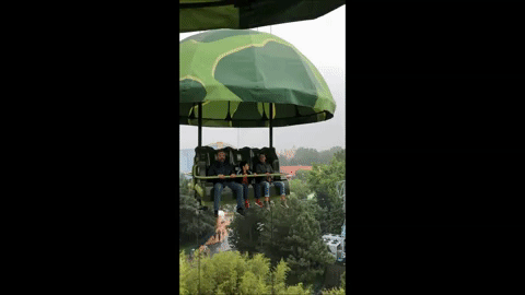 giphy.gif