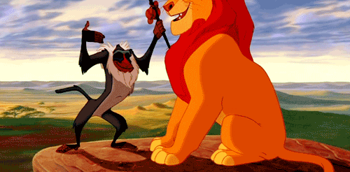 tumblr_lpt6pooCbN1r1ppuro1_500.gif