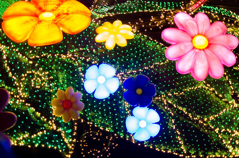 DSC1474-L.jpg