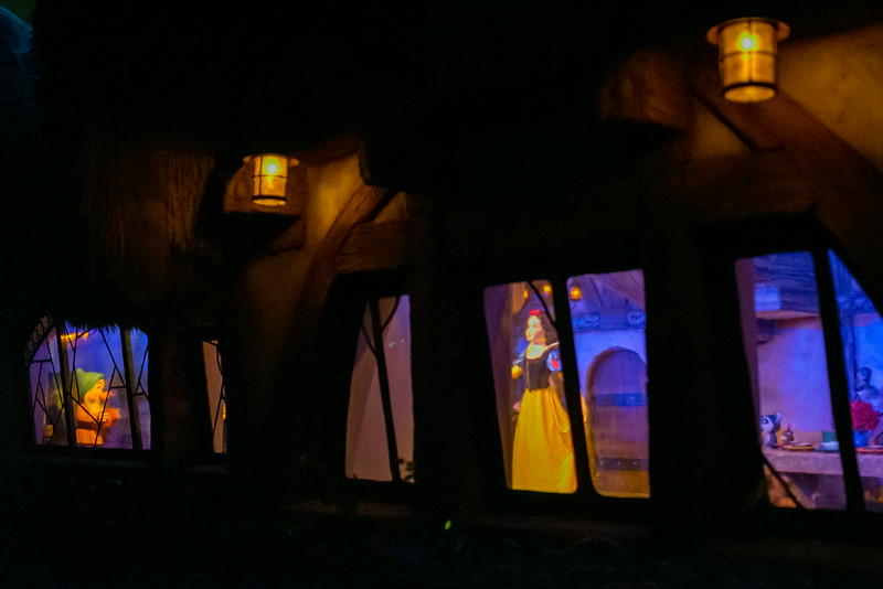 DSC_6089-L.jpg