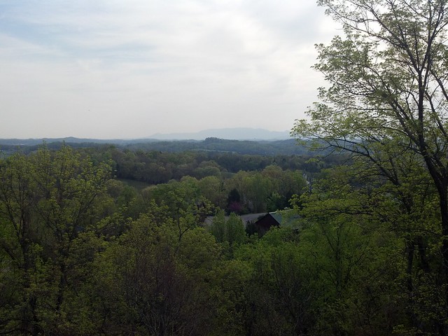 7027361001_a316699132_z.jpg