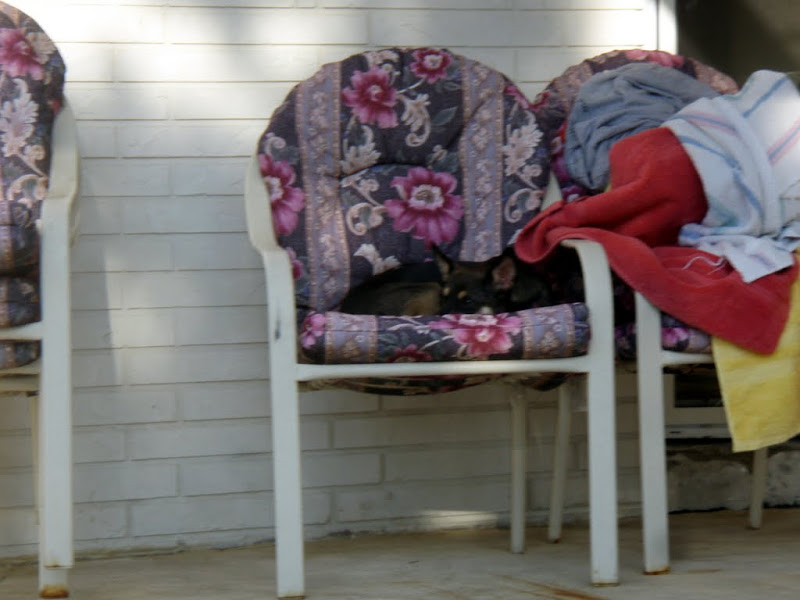 PA110034.JPG