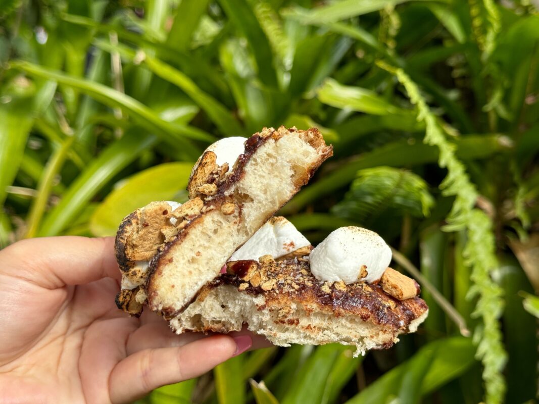 S'mores dessert pizza cut in half