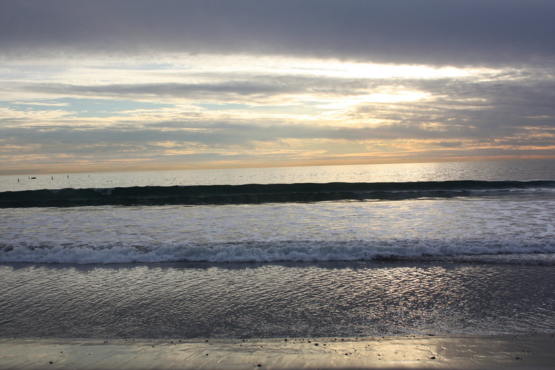IMG_1059-L.jpg