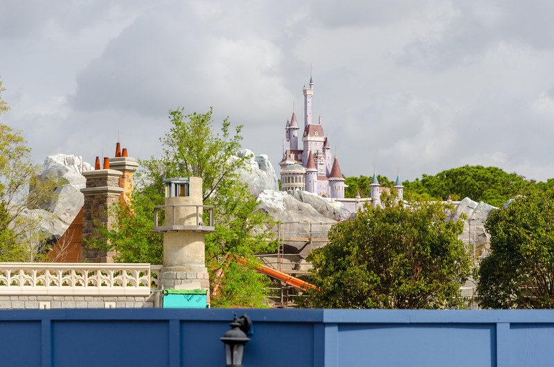 DSC0626-L.jpg