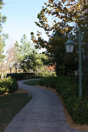561006669_2noct-M.jpg