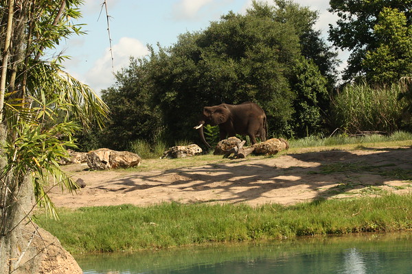 600696324_tS8FR-M.jpg
