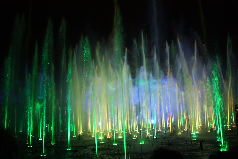 IMG0508-L.jpg