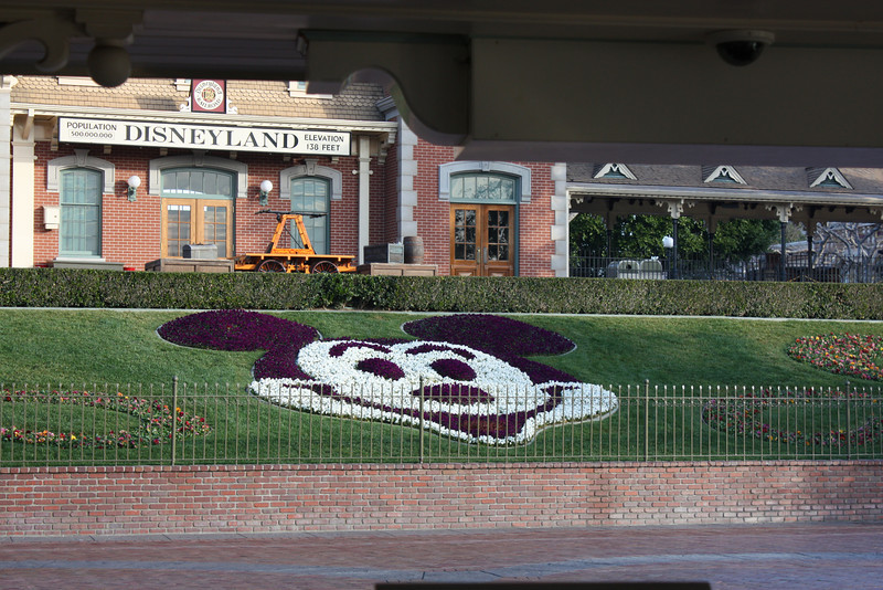 IMG9130-L.jpg