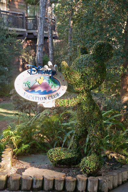 p773846237-4.jpg