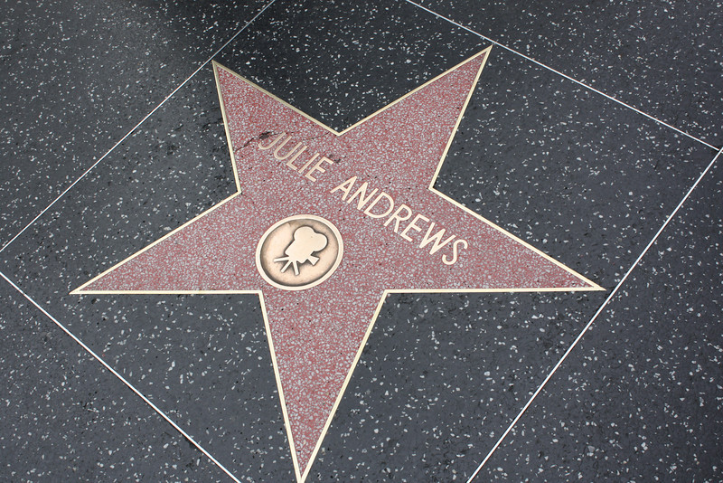 IMG0891-L.jpg