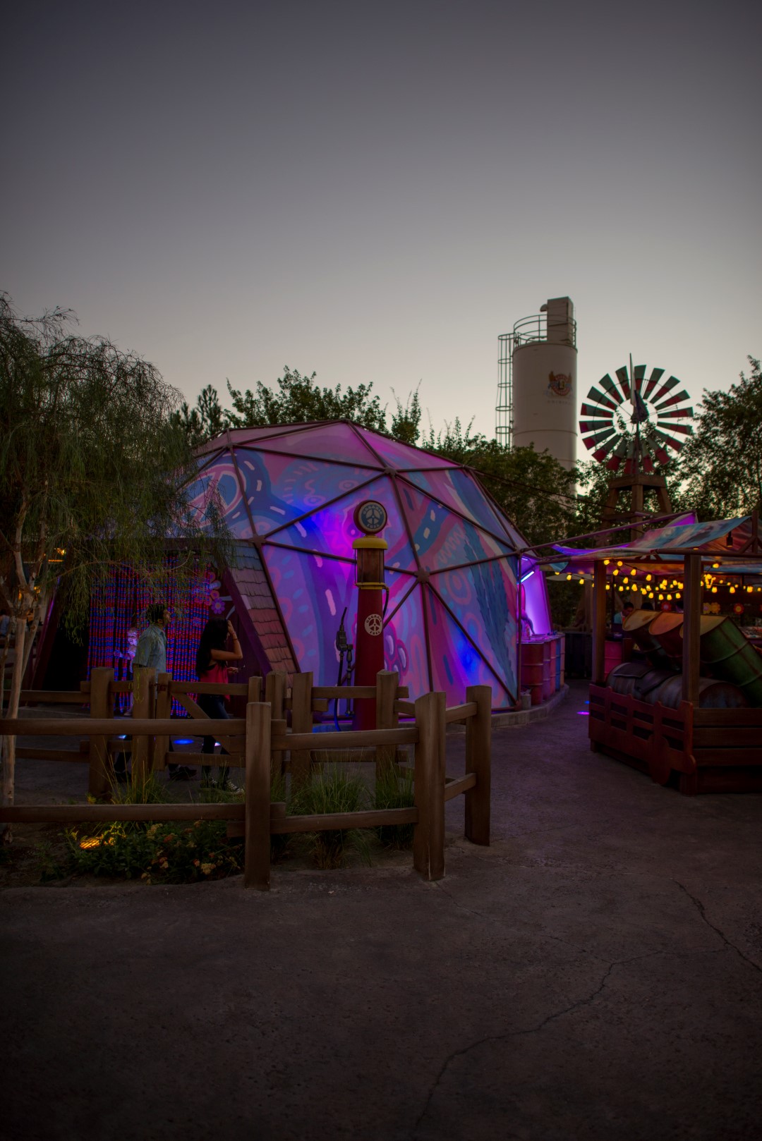 DSC_2220%20(Large).jpg