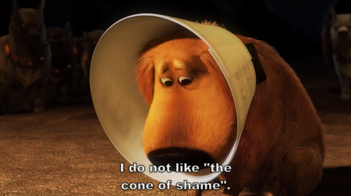 tumblr_lq1x9wxB0J1r1gmuro1_500.png