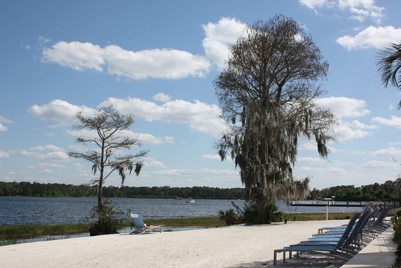 1220027038_ssfH7-L.jpg