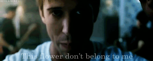 tumblr_lng7dbOqZ81qacnfuo1_500.gif