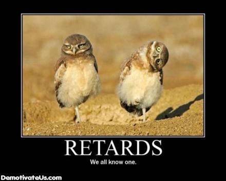 retards-birds-demotivational-poster.jpg