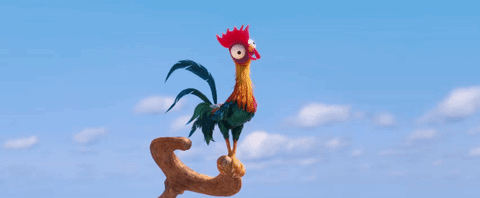 giphy.gif