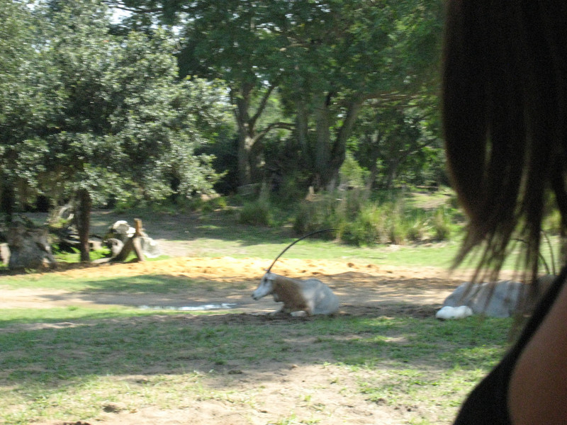 322090384_GQLGw-L.jpg