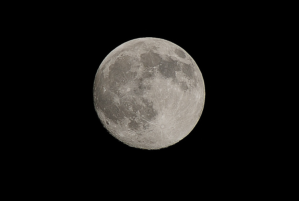 393625119_ZiVCn-XL.jpg
