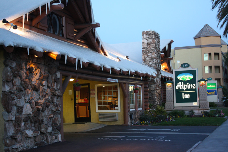 IMG0345-L.jpg