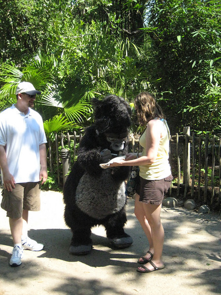 322097414_HRHjz-L.jpg