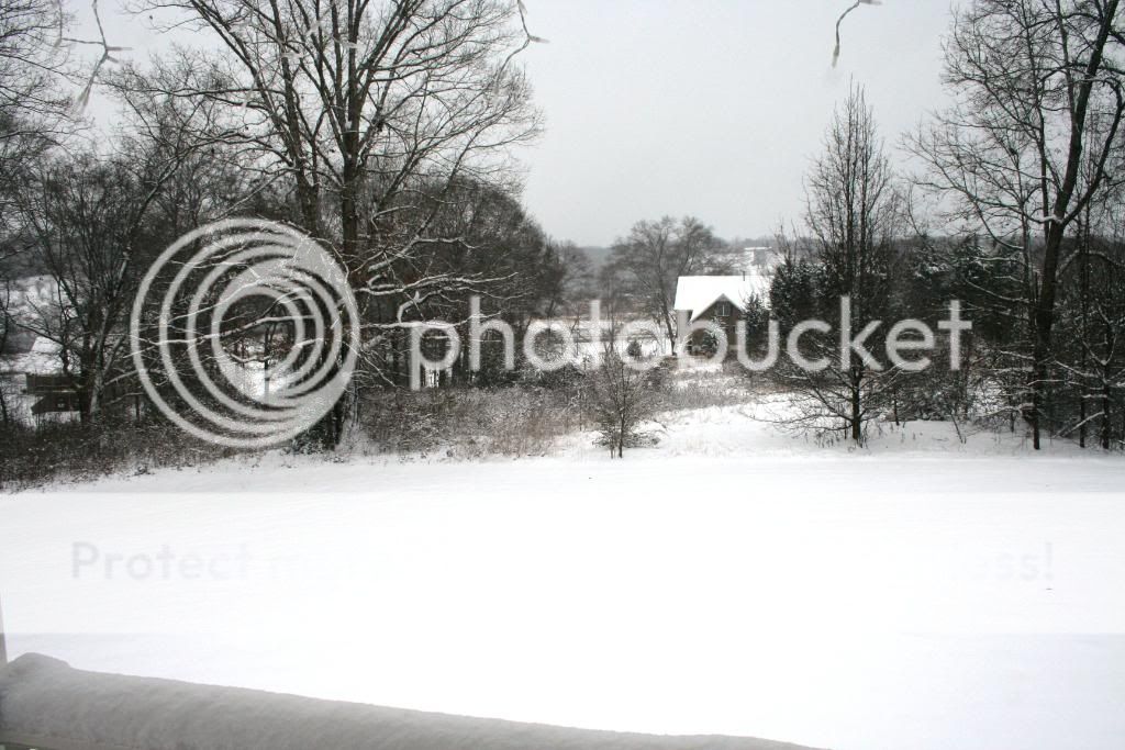 SnowJan102011017.jpg