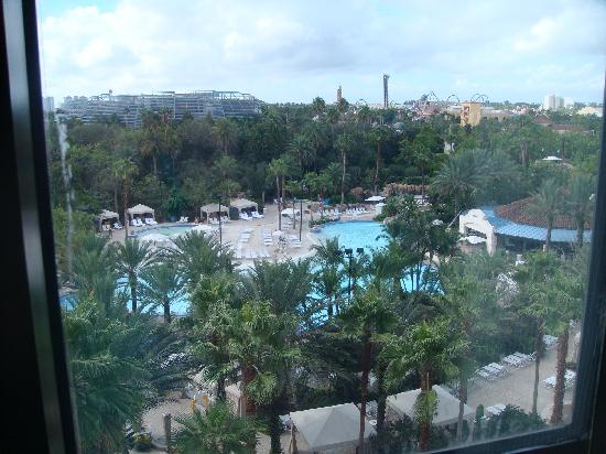 view.jpg