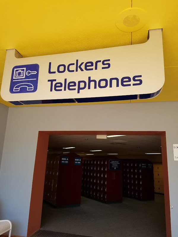 51429596747_7ca765924f_c.jpg