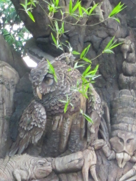 IMG0328-L.jpg