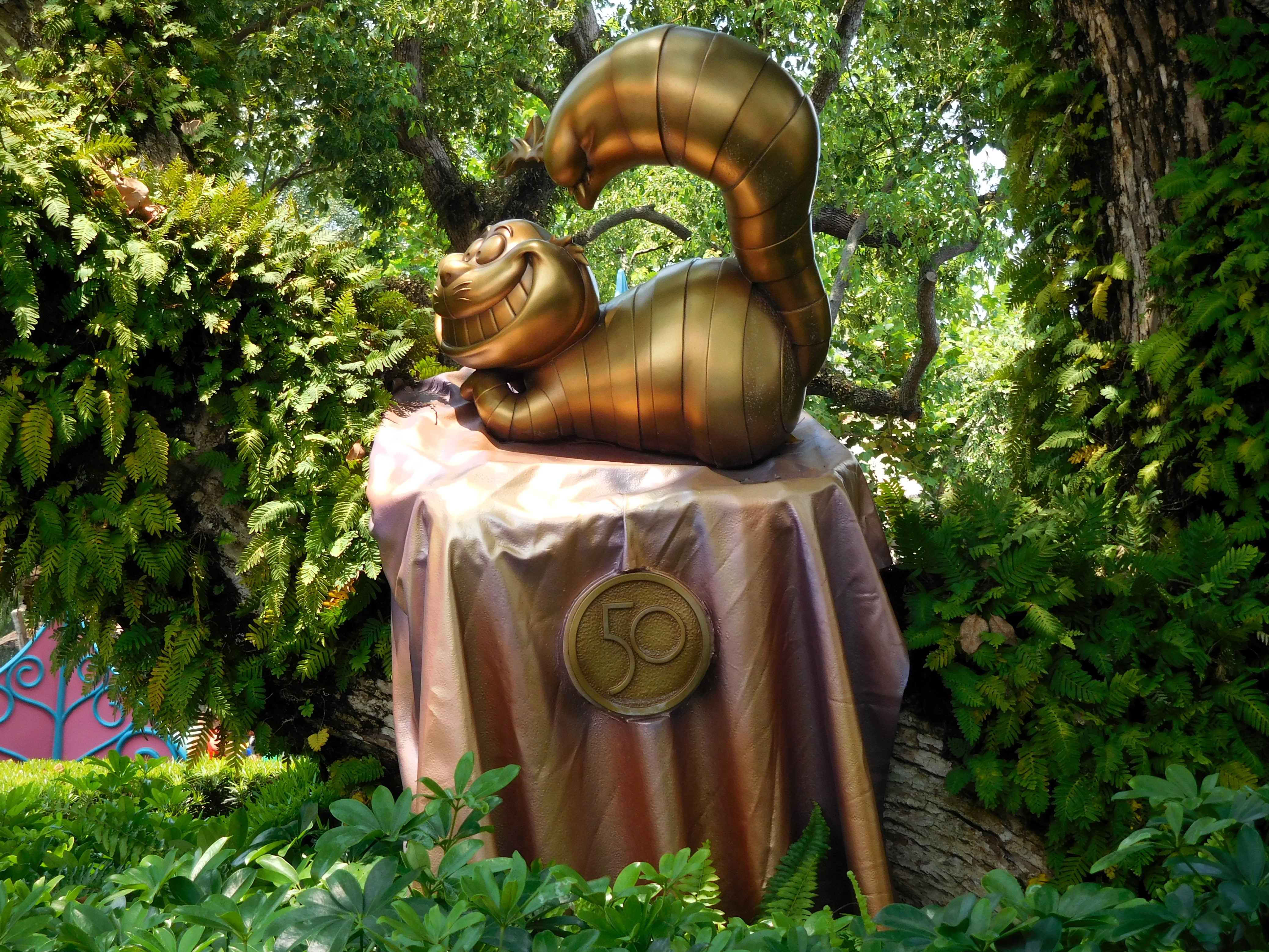 DSCN5513.jpg