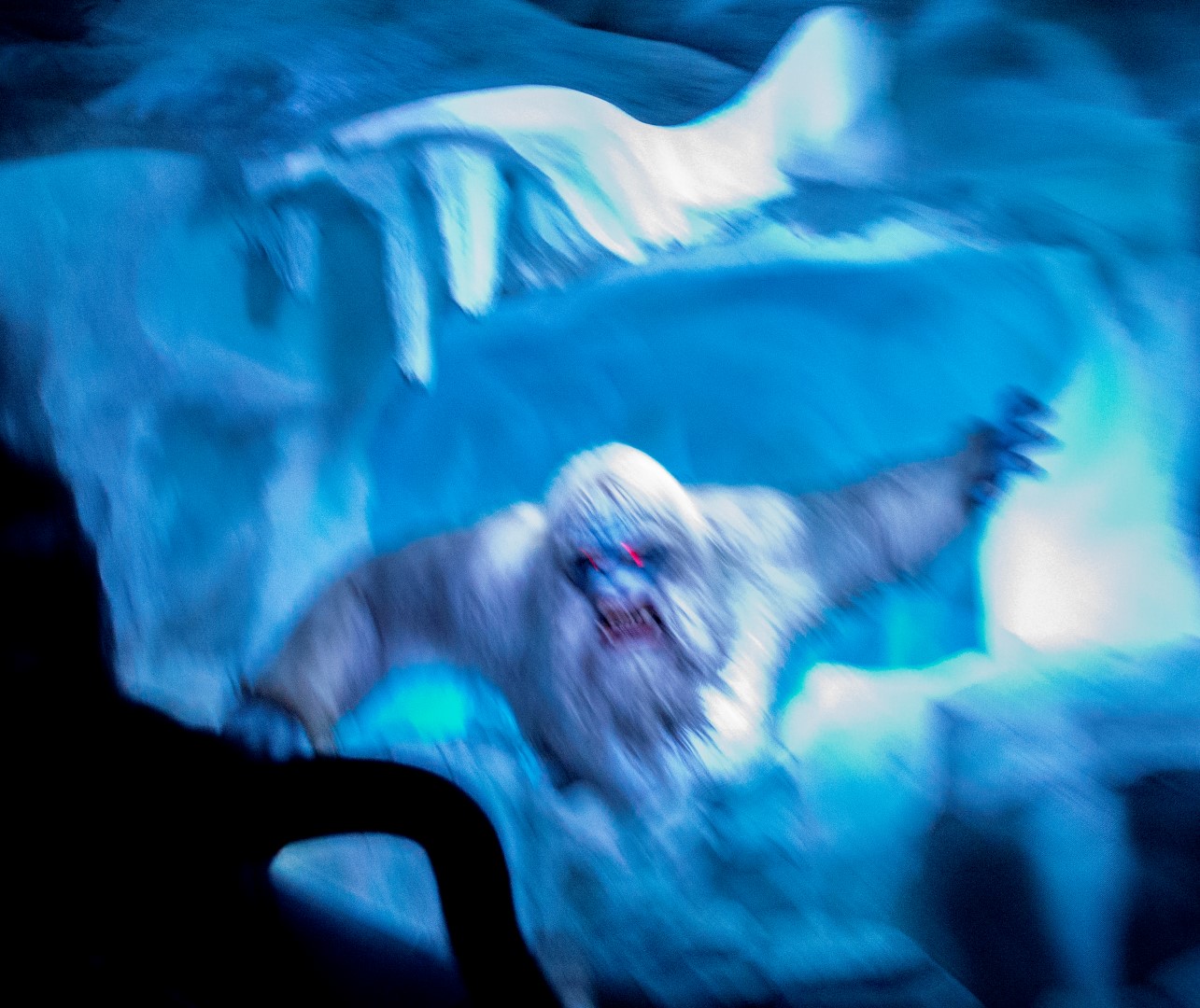 DSC_4362%20(Large).jpg