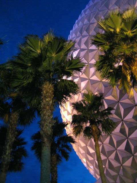 IMG_7247.jpg
