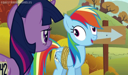 tumblr_ln8o0slR2Q1qafrh6.gif