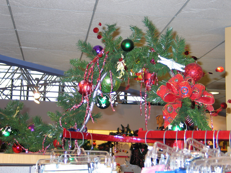 IMG_6473-L.jpg