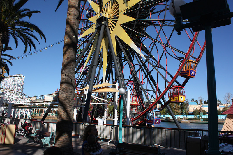 IMG9842-L.jpg