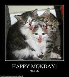 449f484cef694faabaceb77c989bd15d--e-mail-happy-monday.jpg