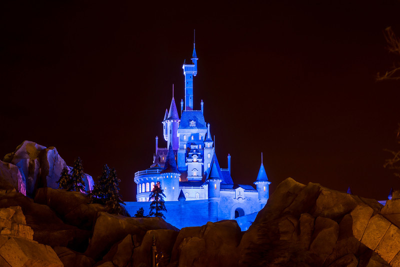 DSC_7426-L.jpg