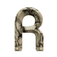 r.gif