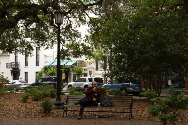 savannah-1.jpg