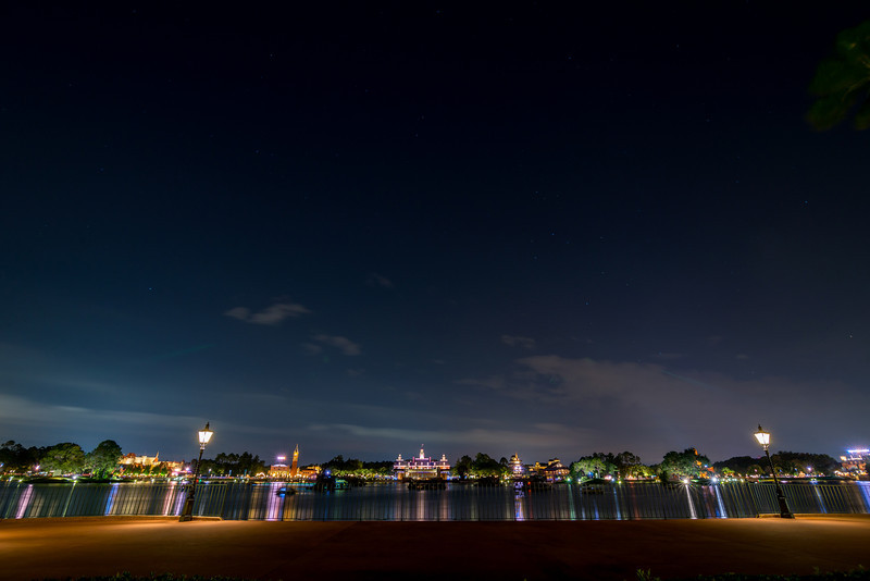 DSC_3167-L.jpg