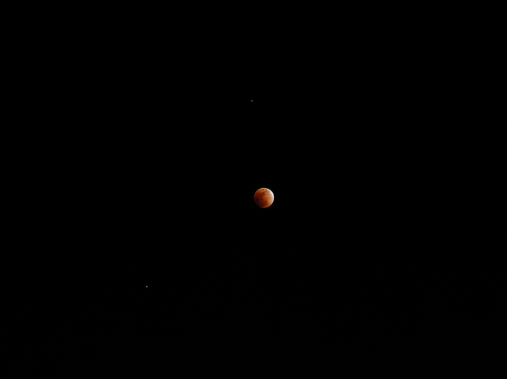 257021385_6VvZa-XL.jpg