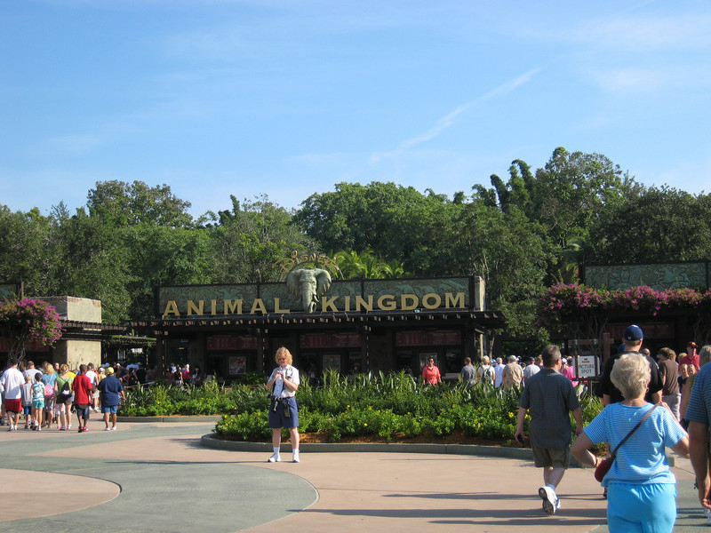 322070389_Bsjjj-L.jpg