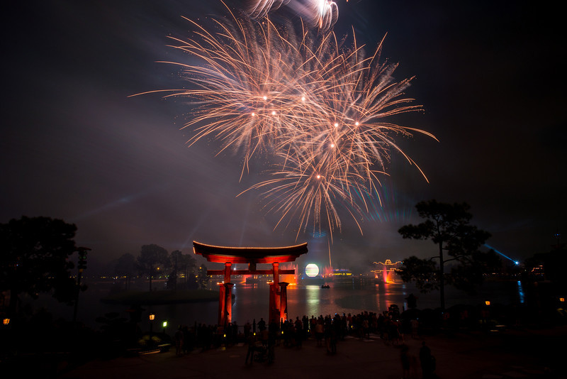 DSC_6246-L.jpg