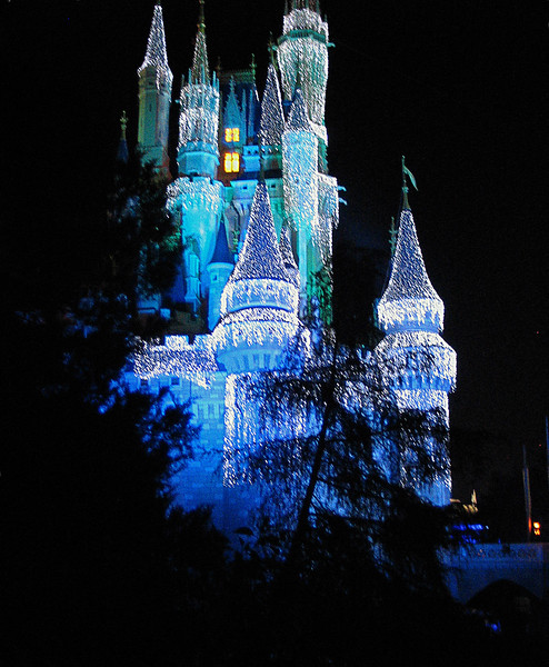 IMG6884ed-L.jpg